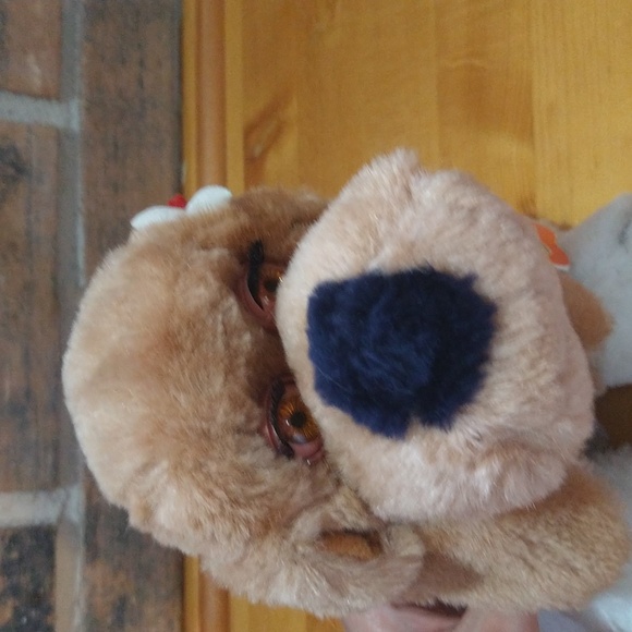 quality plush sweetheart puppy 38-6176 rogners emincees - Picture 5 of 16